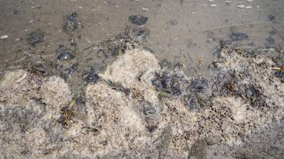 Las organizaciones ambientales alertaron que cualquier falla a miles de metros bajo el mar puede convertirse en un desastre ambiental.