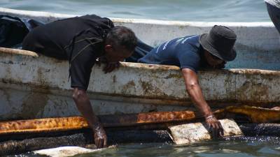 Organizaciones advirtieron sobre la muerte de especies como tortugas y manatíes y riesgos para familias pesqueras.