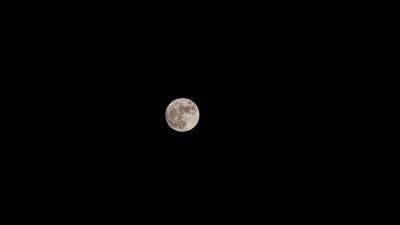 Espectáculo. La Luna lució de mayor tamaño ayer pues se acercó más a la Tierra; muchas personas se manifestaron asombradas.