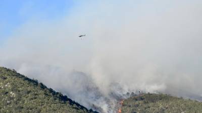 Autoridades informaron que están avanzando en el combate a este incendio forestal en la Región Sureste.