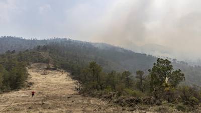 Los incendios registrados en la Región Sureste del estado arrasaron con mil 228 hectáreas de bosque, de acuerdo con datos proporcionados por el Gobierno del Estado.