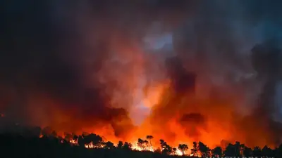 Los bosques que unen los estados de Sinaloa, Durango y Chihuahua se transformaron en una zona de guerra invadida por minas terrestres ocultas en las montañas y explosivos artesanales.