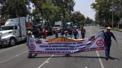 Integrantes de diversos frentes nacionales del campo se manifestaron marchando por Paseo de la Reforma