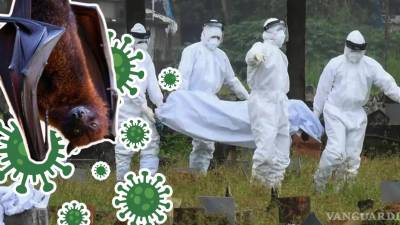Los contagios del virus Nipah se han vuelto tendencia en redes sociales y de mensajería instantánea, luego de que autoridades sanitarias de Bengala Occidental, en India, confirmaran cinco contagios.