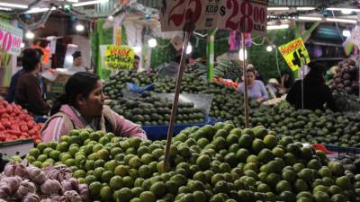 Los precios de frutas y verduras desaceleraron de manera general en el país en la primera quincena de enero.