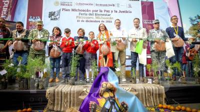 Acciones buscan contribuir a la pacificación de las regiones más afectadas por la violencia en Michoacán.