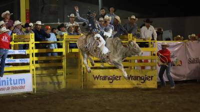 Actividades como la monta de becerros y toros se llevarán a cabo durante el festival, atrayendo a competidores jóvenes y adultos.