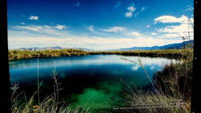 Los manantiales de aguas azules cristalinas de Cuatro Ciénegas, son famosos a nivel mundial.