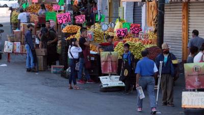 Entre los bienes y servicios cuyos precios tuvieron más incidencia a la baja en el resultado de la inflación fueron la papaya, tomate verde, chile serrano, zanahoria, cebolla y los nopales. FOTO: