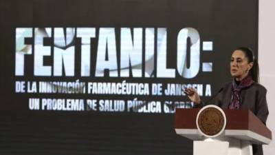 Fotografía tomada durante una conferencia matutina en el Palacio Nacional.