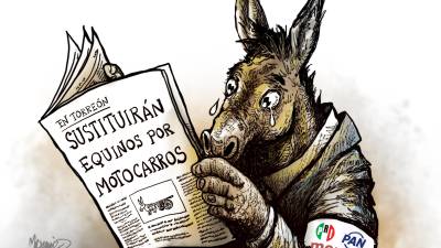 Los burros que faltan por sustituir