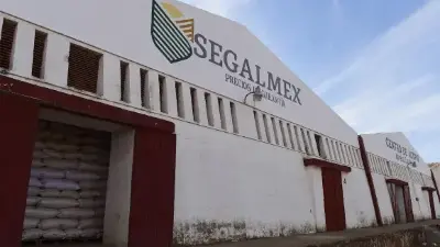 Hugo Buentello Carbonell, el exsubdirector de operaciones en Liconsa, fue detenido el pasado viernes 11 de abril por presuntos actos de corrupción.