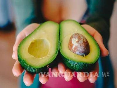 $!El proceso para que los aficionados del futbol americano en el país vecino tengan un aguacate perfecto sobre sus mesas, lleva años de preparación.