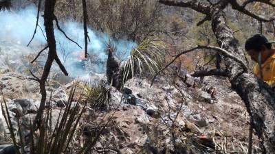 El incendio forestal ha consumido mil 400 hectáreas, de acuerdo con cifras proporcionadas este lunes por la Secretaría de Medio Ambiente