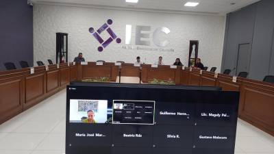 Parte del presupuesto del IEC estará dirigido a la promoción del voto y otras actividades en un año sin elecciones locales.