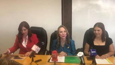 La asociación dijo que las mujeres aportan el 40% del PIB y sus negocios están focalizados en los giros de comercio, servicios, turismo y agroindustria. FOTO: REBECA RAMÍREZ/VANGUARDIA.