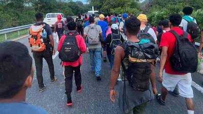 Migrantes avanzan por el norte de México en busca de cruzar la frontera, mientras las autoridades intensifican operativos para regular su paso.