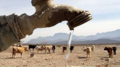 Coahuila se mantiene en sequía severa, a la par que las autoridades buscan nuevas fuentes para no llegar a los extremos que vivió Nuevo León durante 2022.