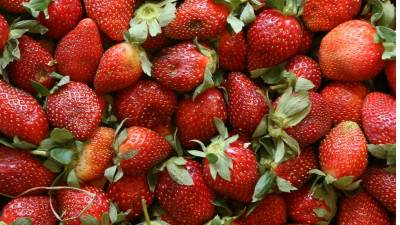 Si se confirma el margen preliminar, los gravámenes podrían comenzar a cobrarse a finales de junio de 2026, afectando la competitividad de exportación agrícola de México.