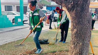 Brigadas de la Ola Verde trabajan en la limpieza y embellecimiento de plazas y calles en Ramos Arizpe.