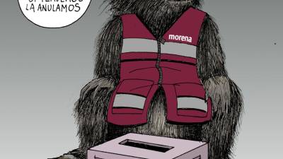 Morena: Reglas electorales
