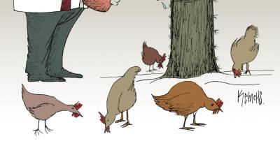 Cosechando en Palenque