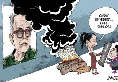 Ángel Aguirre: Otro leño caído