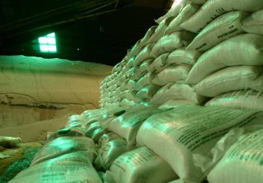 Si tras esto el agricultor decide aplicar menos fertilizante para ahorrar, la planta no se desarrolla igual y la cosecha será menor.