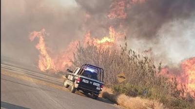 Recientemente se reportó un incendio en las instalaciones de Casa Madero; directivos de la vitivinícola culparon a ejidatarios del siniestro.