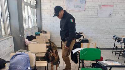 Agentes de la Unidad Especializada en Atención a Víctimas de Violencia Familiar y de Género apoyaron en la revisión de mochilas.