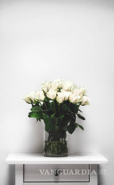 $!El blanco representa la pureza en muchos entornos.