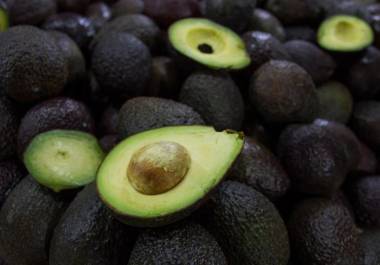 Se encontró que las huertas de aguacate de ambos capos aparecen en la lista de Huertos de Aguacate Registrados para Exportación a China.