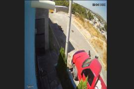 Cámaras de seguridad captaron el momento en que varios perros atacan a un pequeño gatito en Parras de la Fuente.