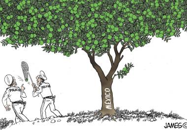 Cayó ‘El Limones’