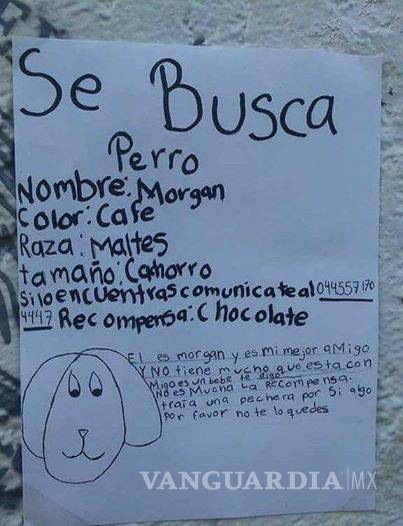 $!Halla niña a su perrito gracias a buscarlo con dibujos