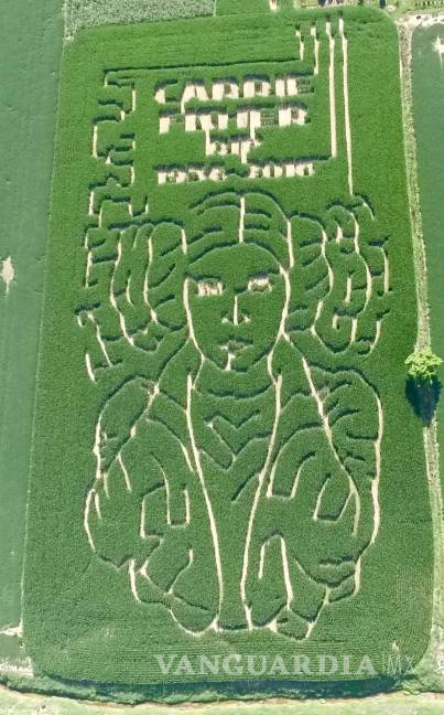 Granjero planta maizal en honor a Carrie Fisher en Indiana