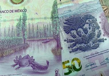 Se frenan inversión por T-MEC, pero el crédito al consumo (10-12%) mantiene a flote a la banca; pese a su solidez, prevén deterioro por volatilidad económica.