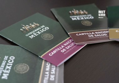 La Cartilla Nacional de Salud del Instituto Mexicano del Seguro Social (IMSS) es un documento indispensable.
