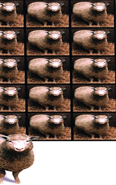 $!La creación de la oveja clonada Dolly, en 1997, representa un avance revolucionario de consecuencias imprevisibles.