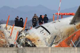 Bartsch agregó que el piloto habría sabido sobre el alto riesgo de aterrizaje.