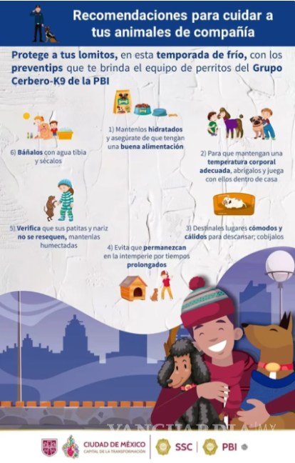 $!Invierno 2025: SSC recomienda estas acciones para proteger a tus mascotas del frío