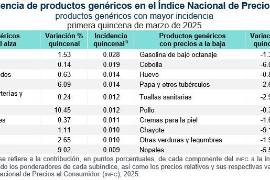 El precio de la gasolina registró una baja del 1.32 %, mientras que el kilo de huevo también presentó una reducción, beneficiando ligeramente el gasto de los consumidores.