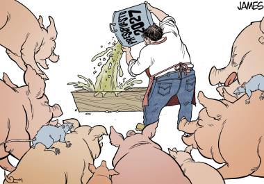 Atracón económico