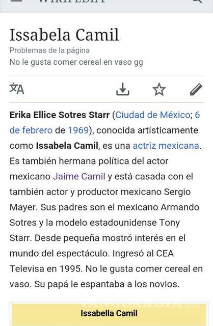 $!Modificaron perfil de Issabela Camil en wikipedia por 'Luis Miguel, La Serie'