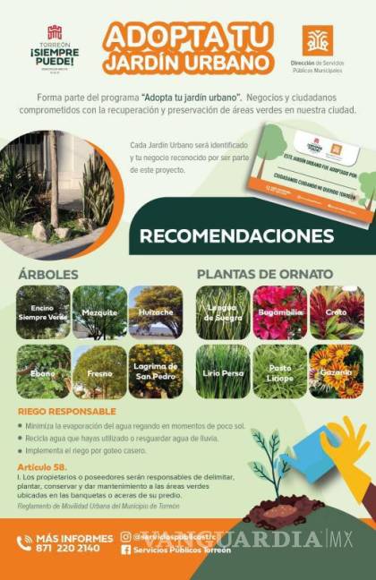 $!El cuidado de áreas verdes urbanas es incentivado en Torreón con el programa de adopción de jardines.