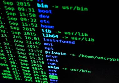 Francia fue blanco de un ciberataque que afectó al Ministerio del Interior y han iniciado investigaciones para averiguar los orígenes de estos ataques; hay un detenido.