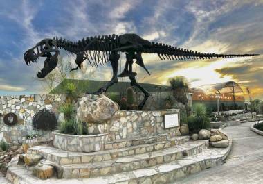 El Museo del Desierto será una de las sedes del 1er Congreso Internacional de Conservación de Fauna Silvestre.