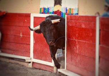 Las corridas de toros están prohibidas en Coahuila desde hace nueve años.
