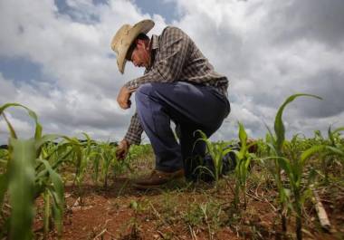 Autoridades federales exhortan a regularizar concesiones para mantener apoyos energéticos.