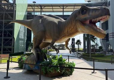 Cuatro réplicas de dinosaurios reciben a los visitantes del AIFA con una muestra del Museo del Desierto de Coahuila.